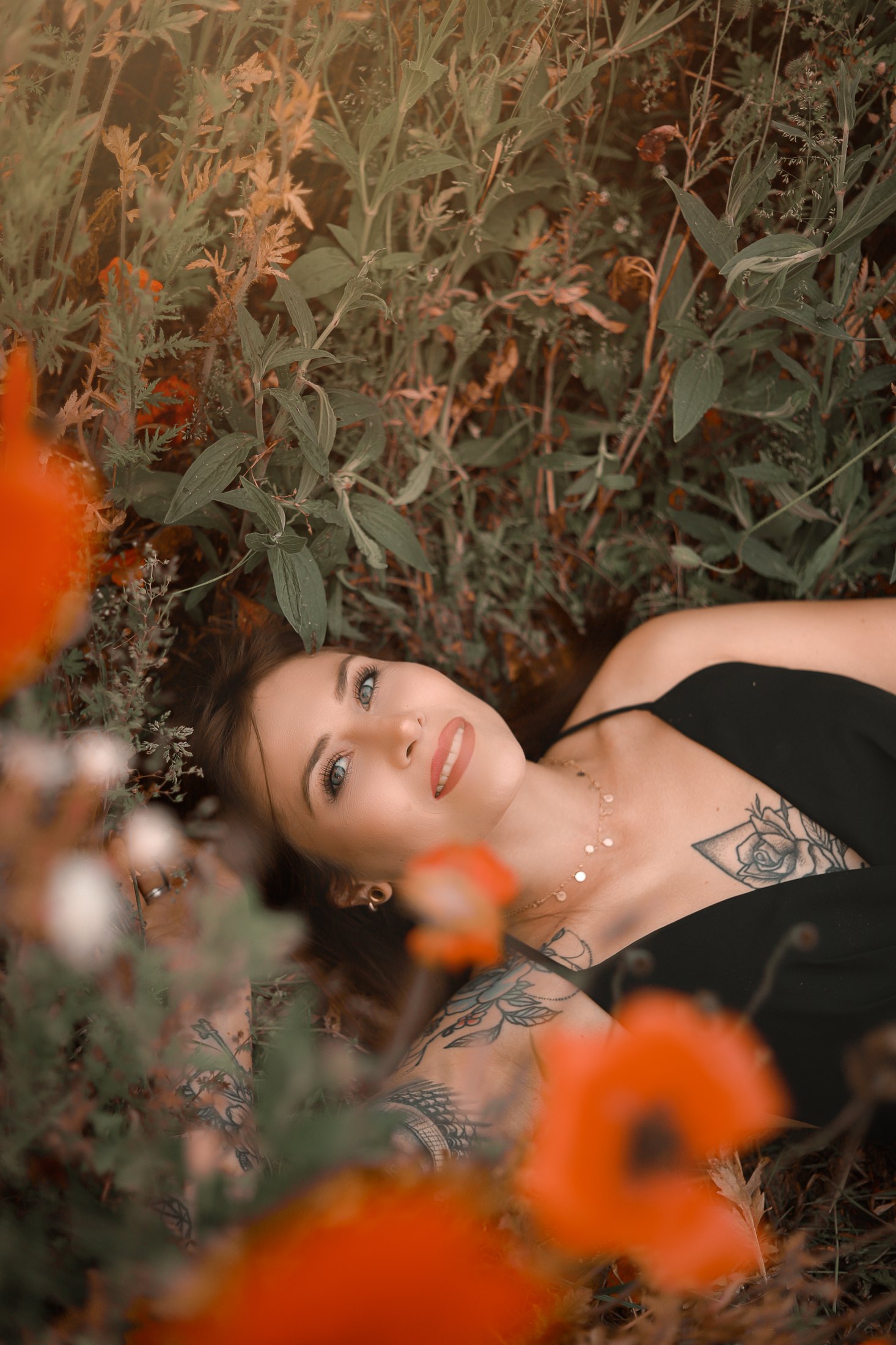 Dreamlight Portfolio