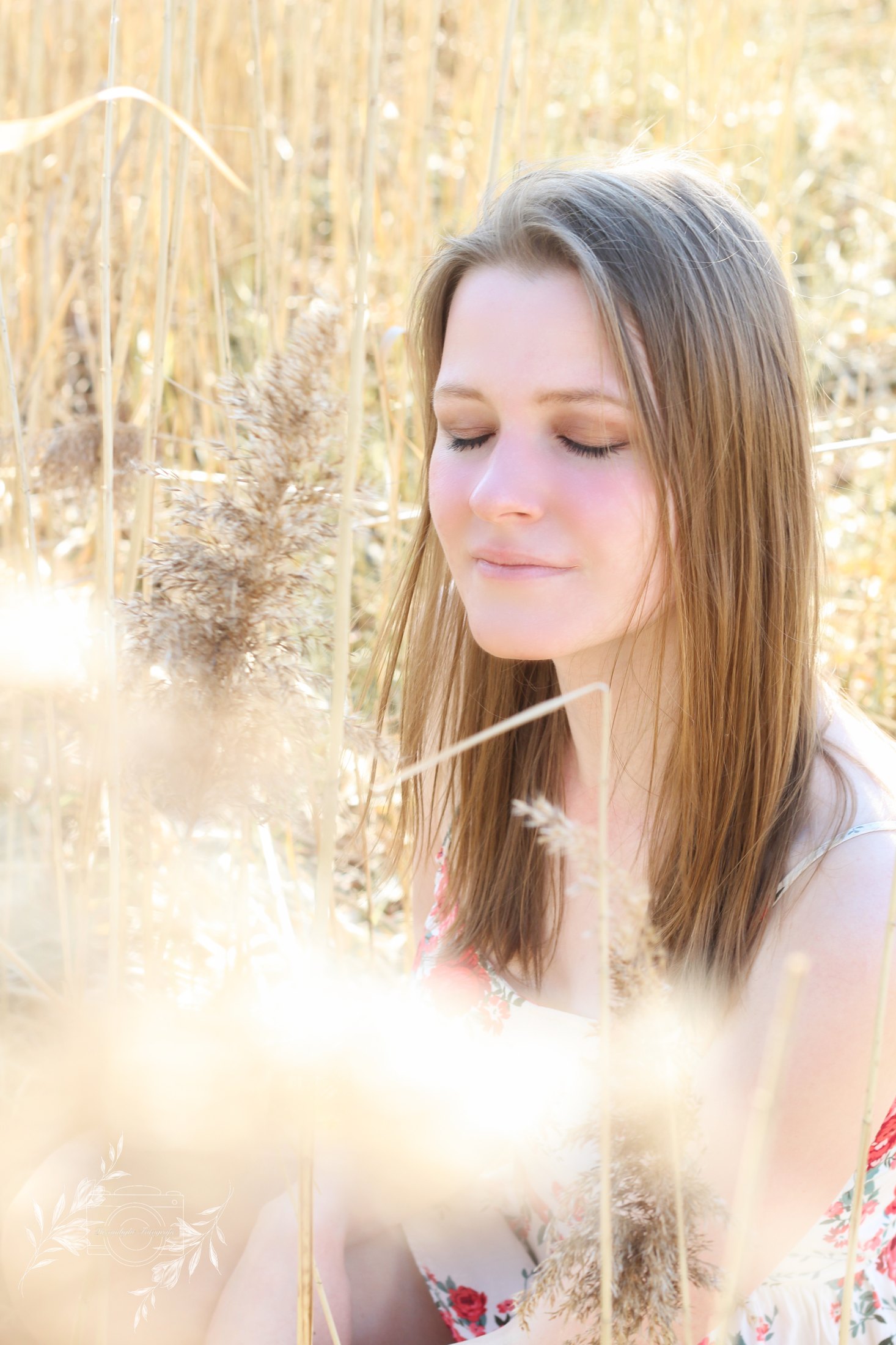 Dreamlight Portfolio