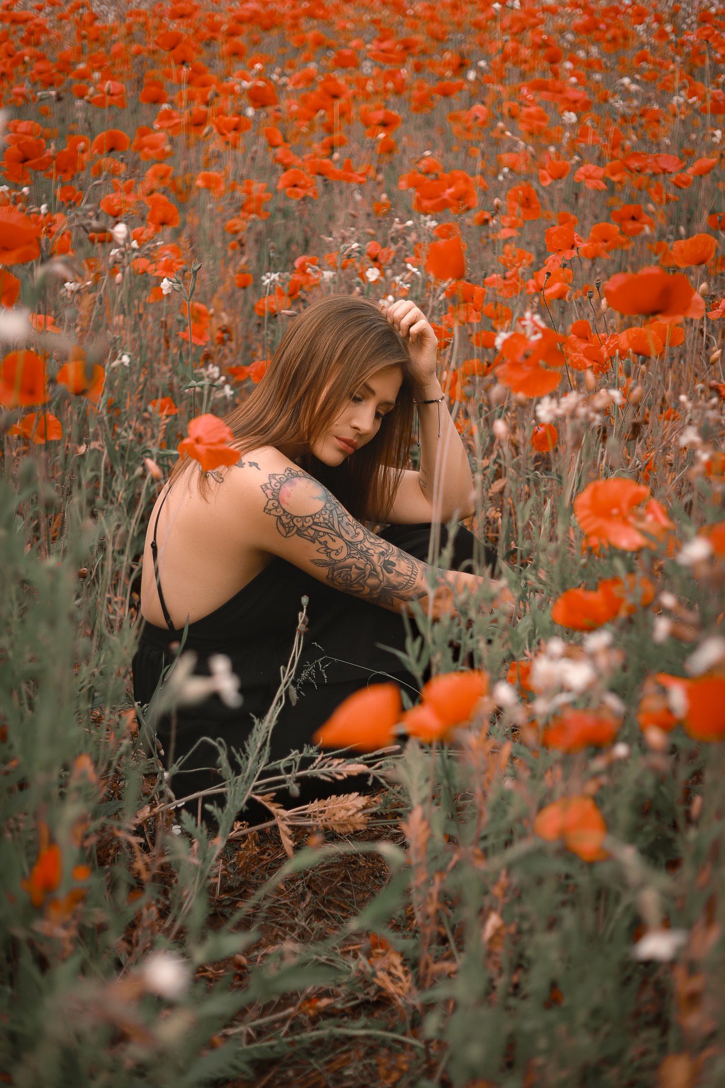 Dreamlight Portfolio