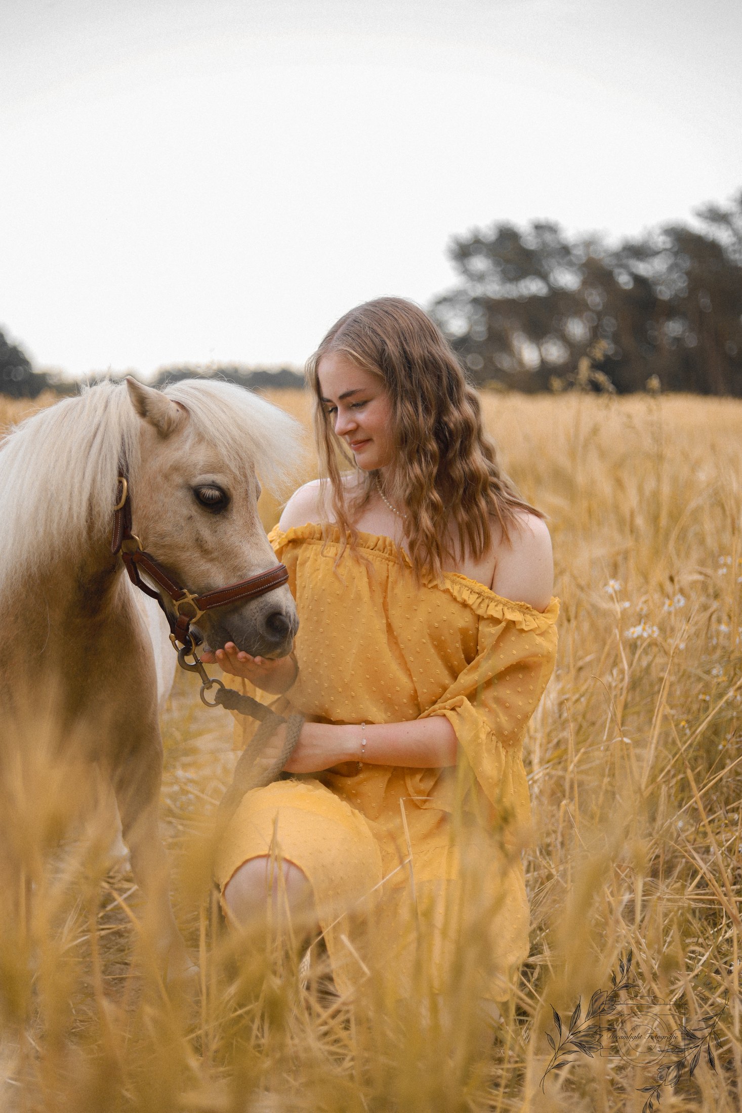 Dreamlight Portfolio